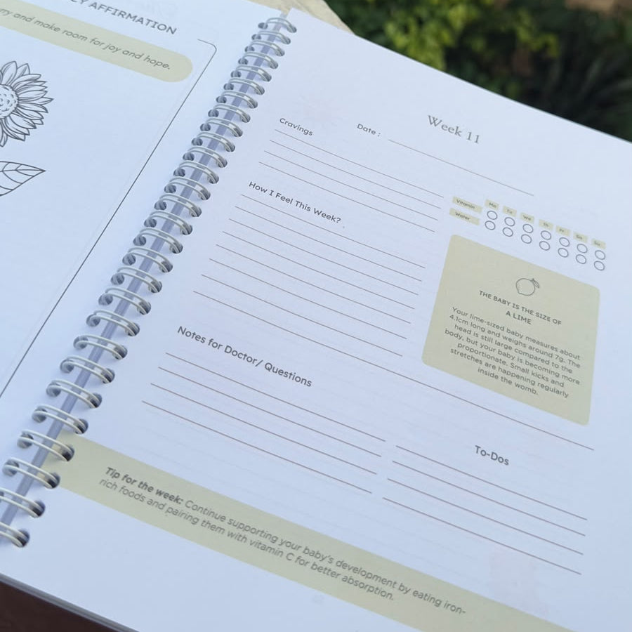 Guided Pregnancy Journal