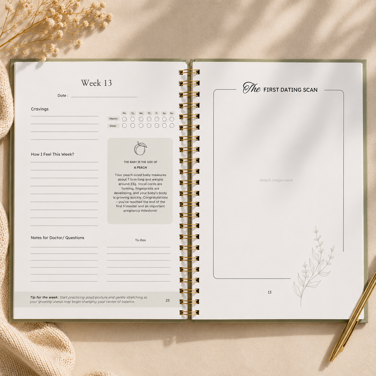 Guided Pregnancy Journal