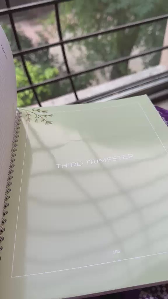 Guided Pregnancy Journal